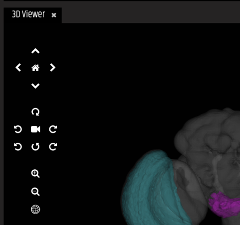 Virtual Fly Brain (VFB) 3D Viewer
